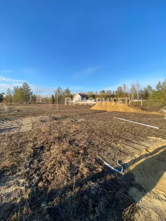 Участок, 10 сот., поселения (ижс) - Фото 1