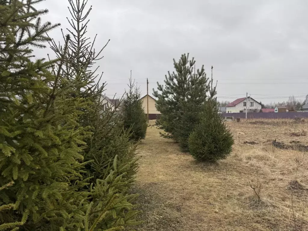 Участок в Московская область, Воскресенск городской округ, д. ... - Фото 0