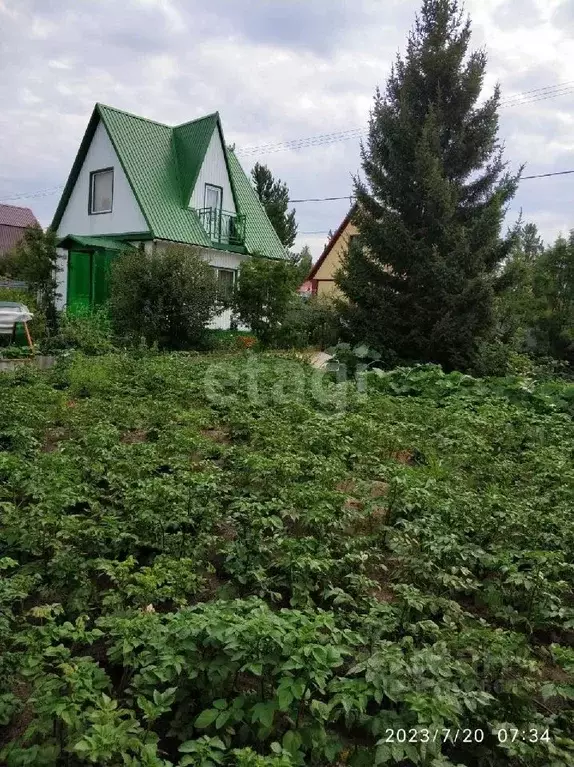 Дом в Ханты-Мансийский АО, Сургут Виктория садовое товарищество, ул. ... - Фото 1