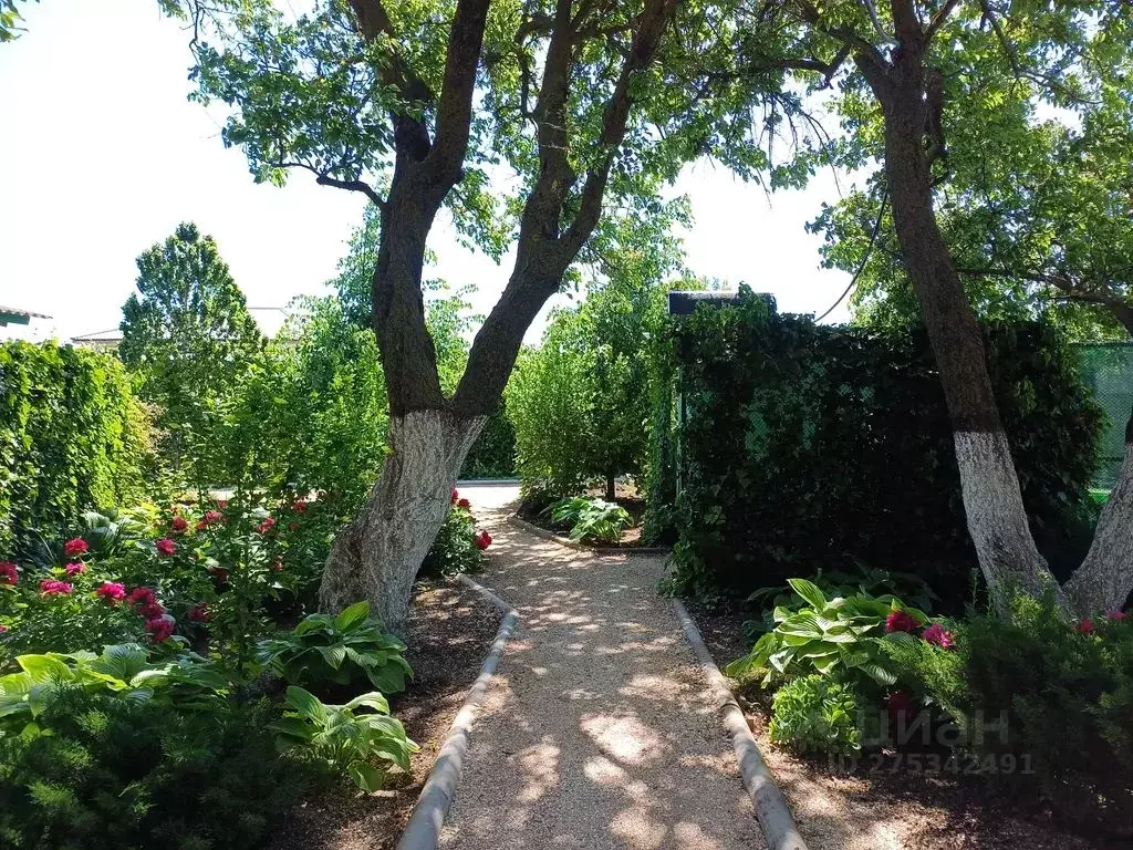 Дом в Краснодарский край, Ейский район, Должанская ст-ца Степная ул., ... - Фото 1