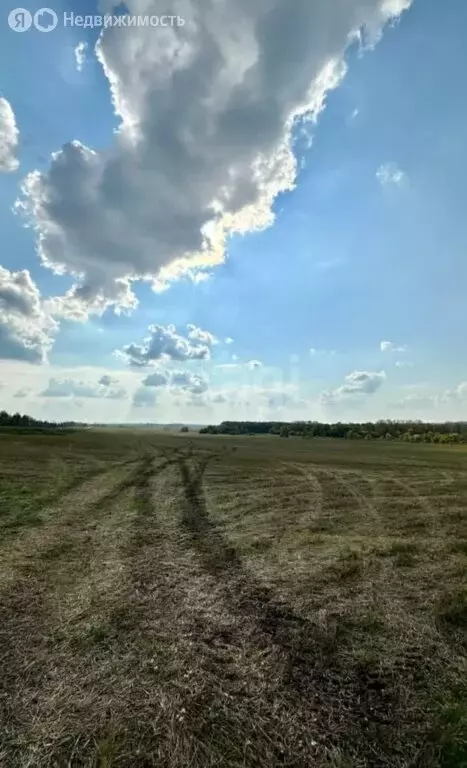 Участок в Кармаскалинский район, село Подлубово (13.6 м) - Фото 2