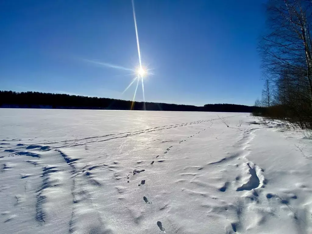 Участок в Псковская область, Гдовский район, Самолвовская волость  ... - Фото 2