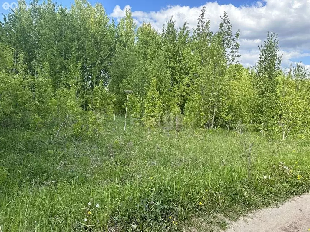 Участок в село Дмитриевская Слобода (5.9 м) - Фото 1