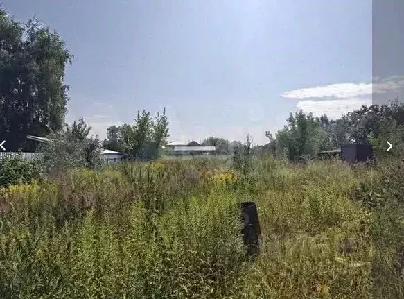 Участок в Ярославская область, Ярославский муниципальный округ, д. ... - Фото 2