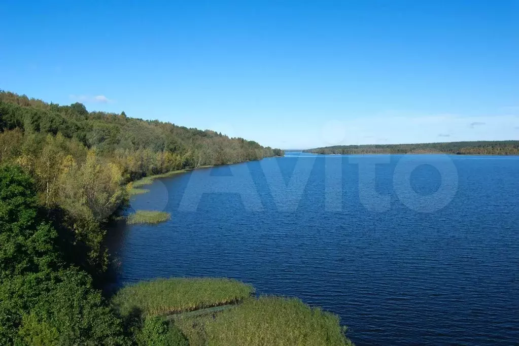 Участок 8,9 сот. (ИЖС) - Фото 1