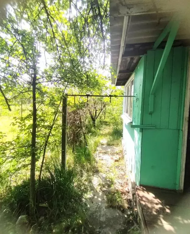 Дом в Курская область, Курский район, Клюквинский сельсовет, д. Халино ... - Фото 1