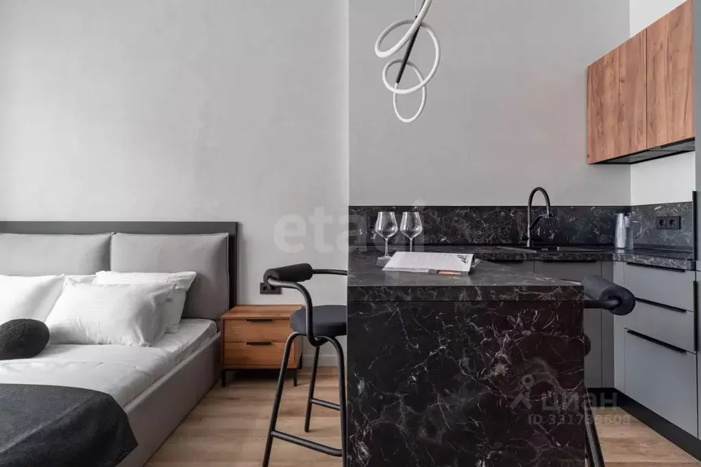 Студия Санкт-Петербург Ремесленная ул., 15 (22.4 м) - Фото 1
