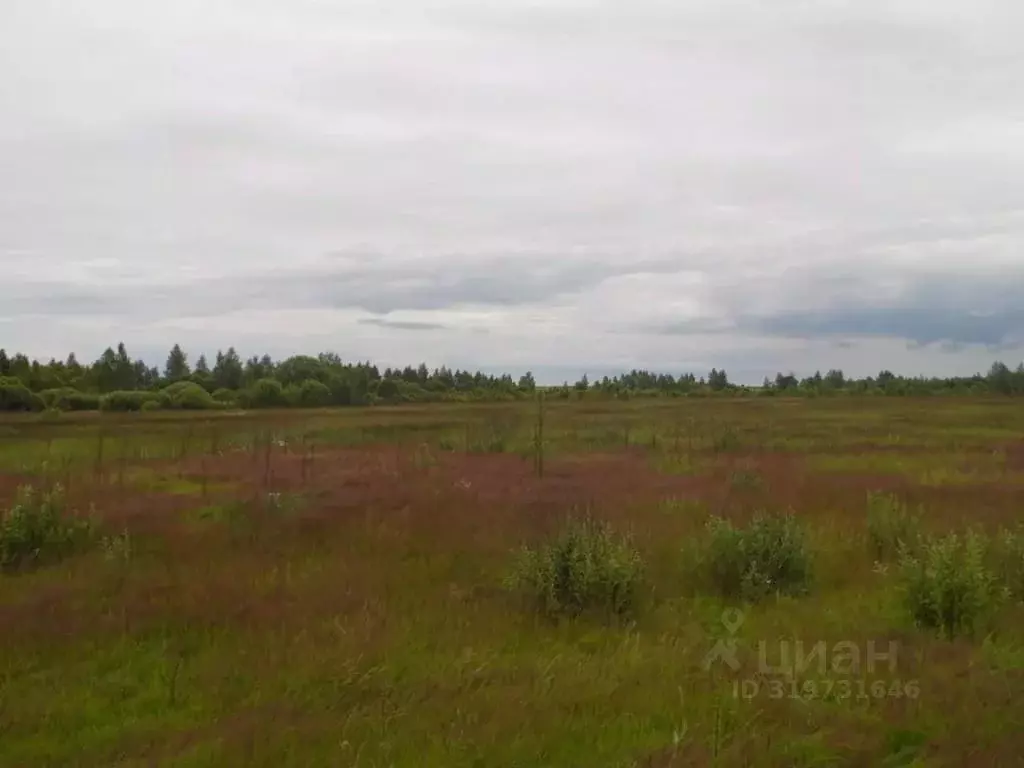 Участок в Смоленская область, Гагаринский муниципальный округ, ... - Фото 0