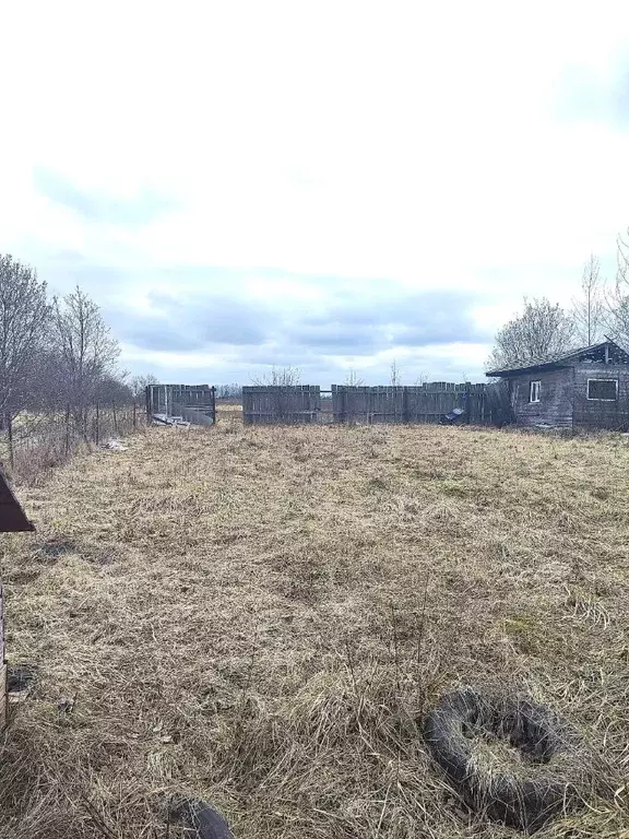 Участок в Вологодская область, Вологда Березка-2 садоводческое ... - Фото 0