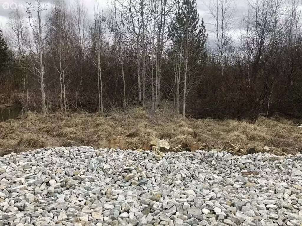 Участок в Свердловская область, городской округ Верхняя Пышма, посёлок ... - Фото 2