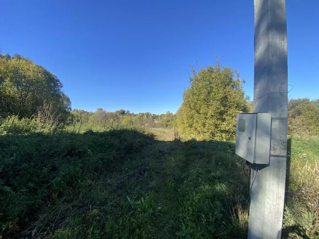 Участок в Тульская область, Заокский район, Малаховское с/пос, д. ... - Фото 1