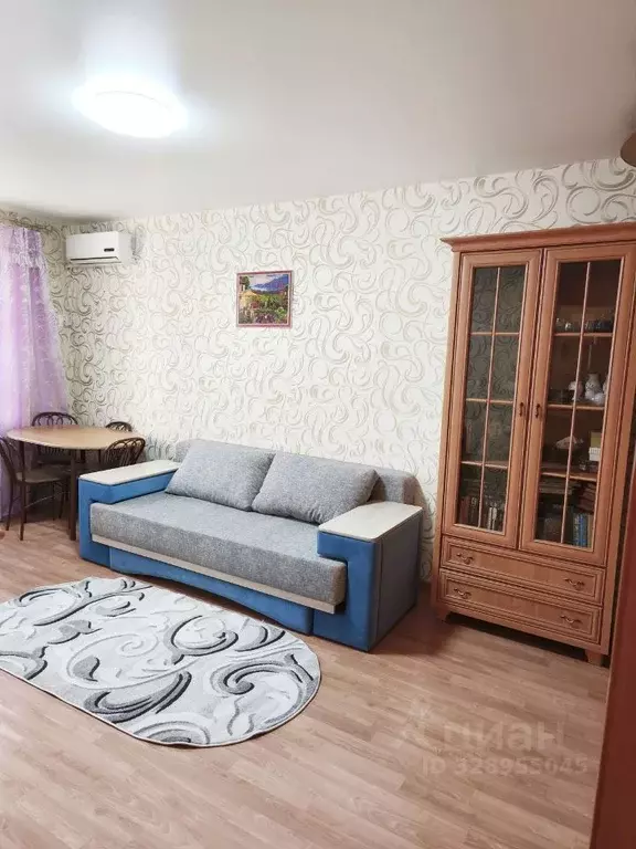 1-к кв. Приморский край, Артем ул. Кирова, 87 (28.6 м) - Фото 1