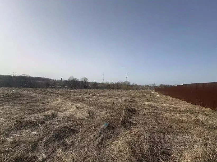 Участок в Московская область, Серпухов городской округ, с. Липицы  ... - Фото 1