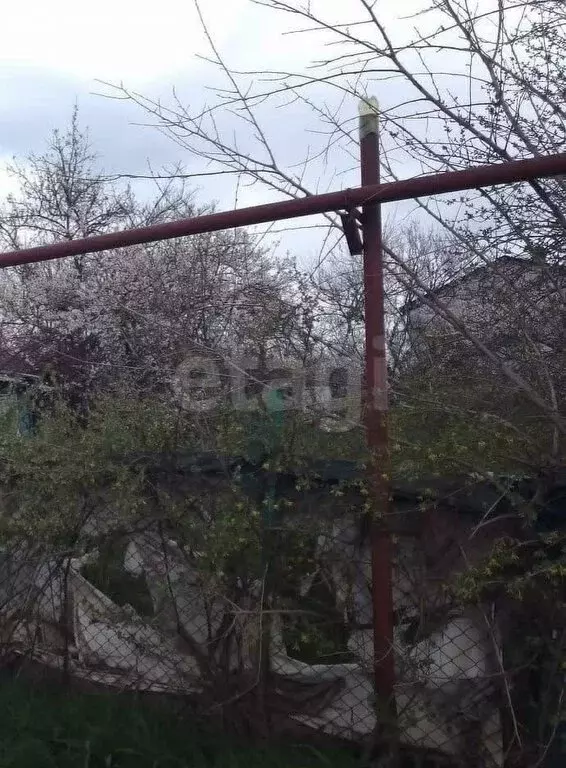 Участок в Ростов-на-Дону, садовое товарищество Садовод-Любитель, 3-й ... - Фото 1