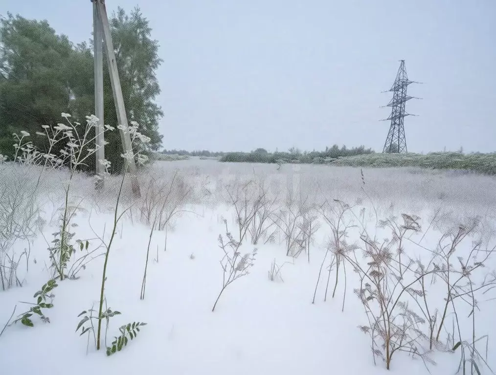 Участок в Ярославская область, Ярославский муниципальный округ, д. ... - Фото 2