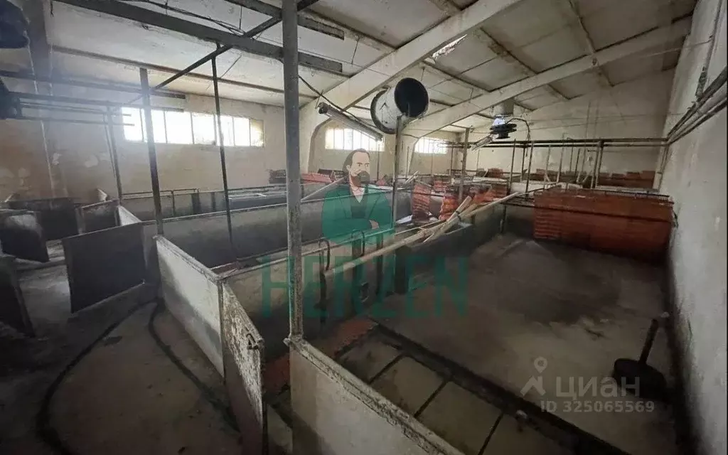 Производственное помещение в Москва д. Кузнецово,  (36000 м) - Фото 2