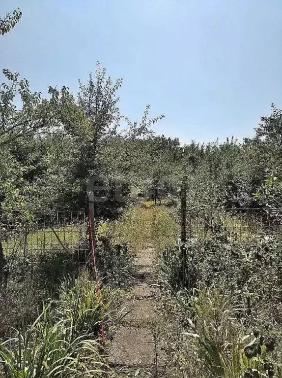 Участок в Ставропольский край, Ставрополь Виктория садовое ... - Фото 2