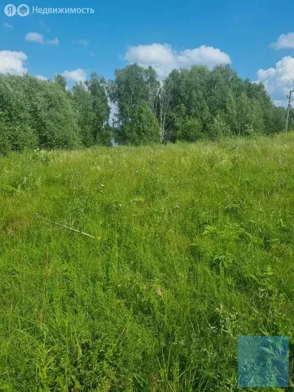 Участок в Московская область, городской округ Солнечногорск, деревня ... - Фото 0