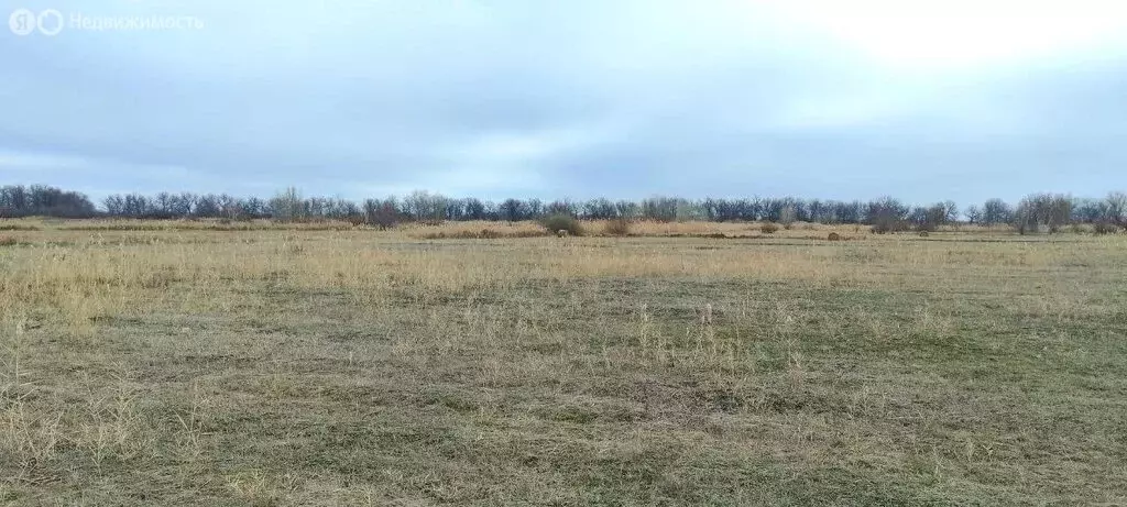 Участок в хутор Закутский, Кужная улица (314.43 м) - Фото 1