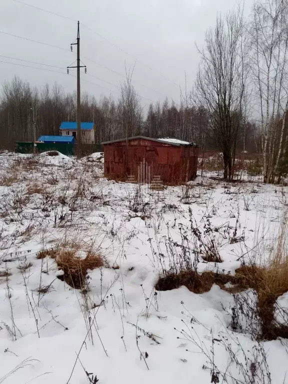 Участок в Владимирская область, Судогодский район, Вяткинское ... - Фото 1