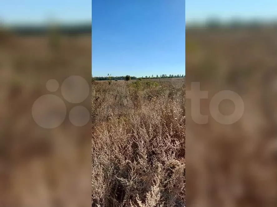 Участок 15,5 сот. (промназначения) - Фото 0