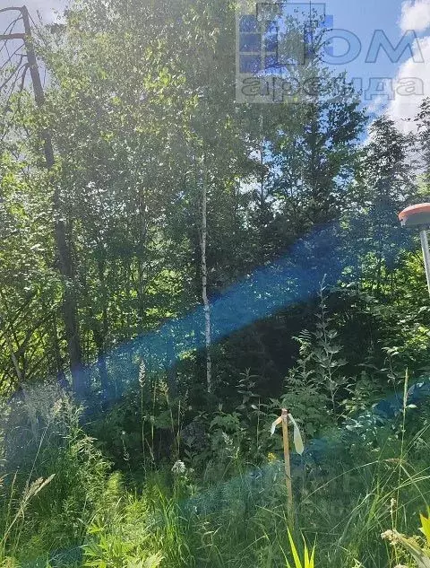 Участок в Томская область, Томск пос. Родионово,  (13.1 сот.) - Фото 1