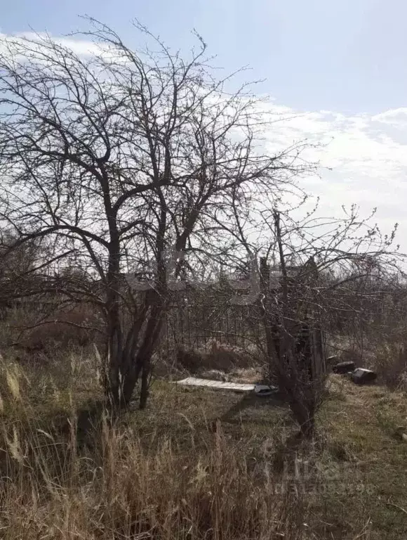 Участок в Брянская область, Брянский район, Супоневское с/пос, Рассвет ... - Фото 1