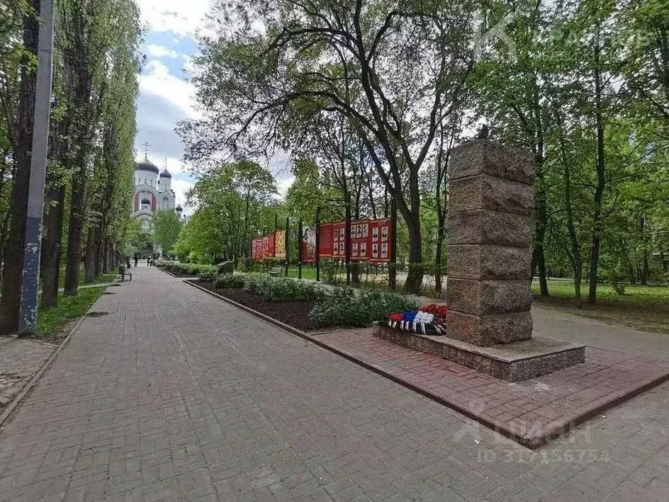 3-к кв. Воронежская область, Воронеж ул. Домостроителей, 33 (55.6 м) - Фото 0