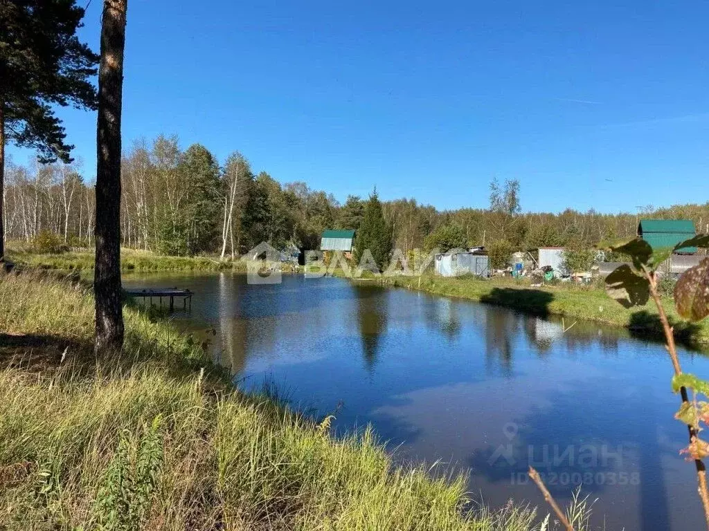 Участок в Владимирская область, Владимир Колос садовое товарищество,  ... - Фото 1