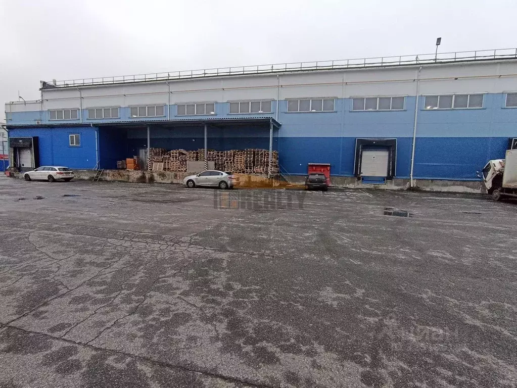 Склад в Московская область, Домодедово Востряково мкр, Триколор тер., ... - Фото 2