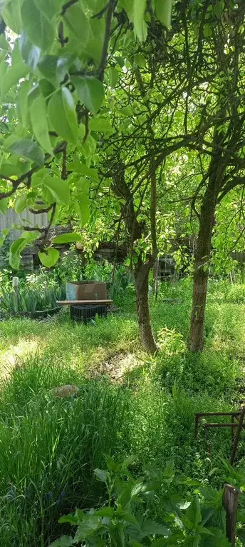 Дом 48 м на участке 3,8 сот. - Фото 0