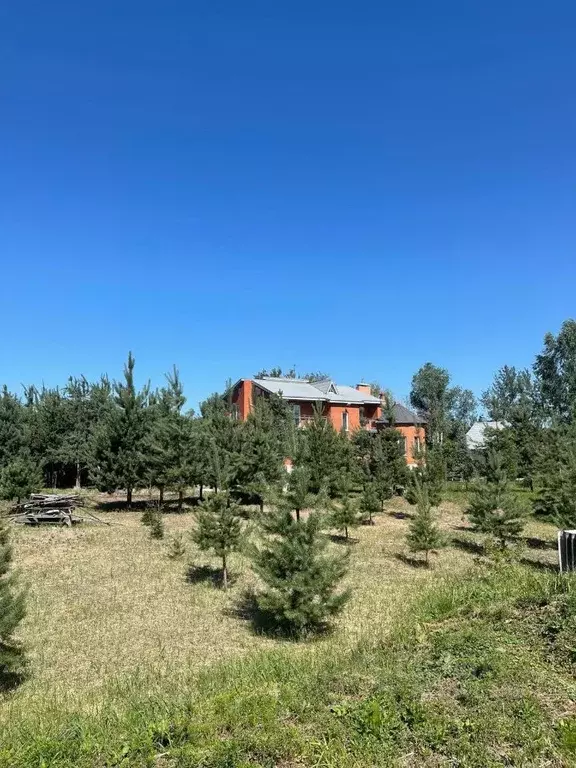 Дом в Саратовская область, Энгельс Сазанка База отдыха,  (250 м) - Фото 1