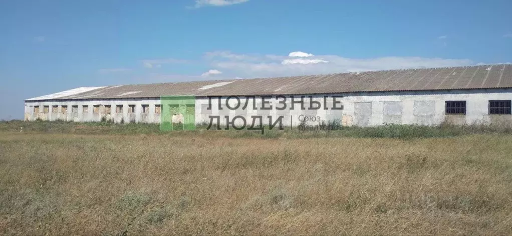 Помещение свободного назначения в Крым, Черноморский район, с. Красная ... - Фото 0