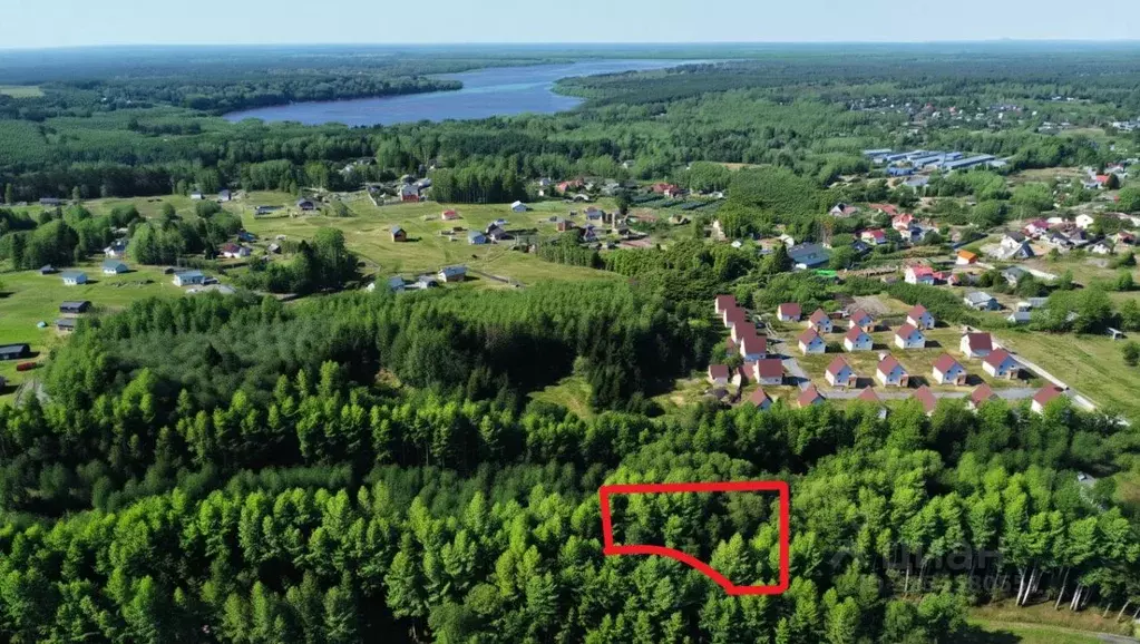 Участок в Ленинградская область, Приозерский район, Красноозерное ... - Фото 1