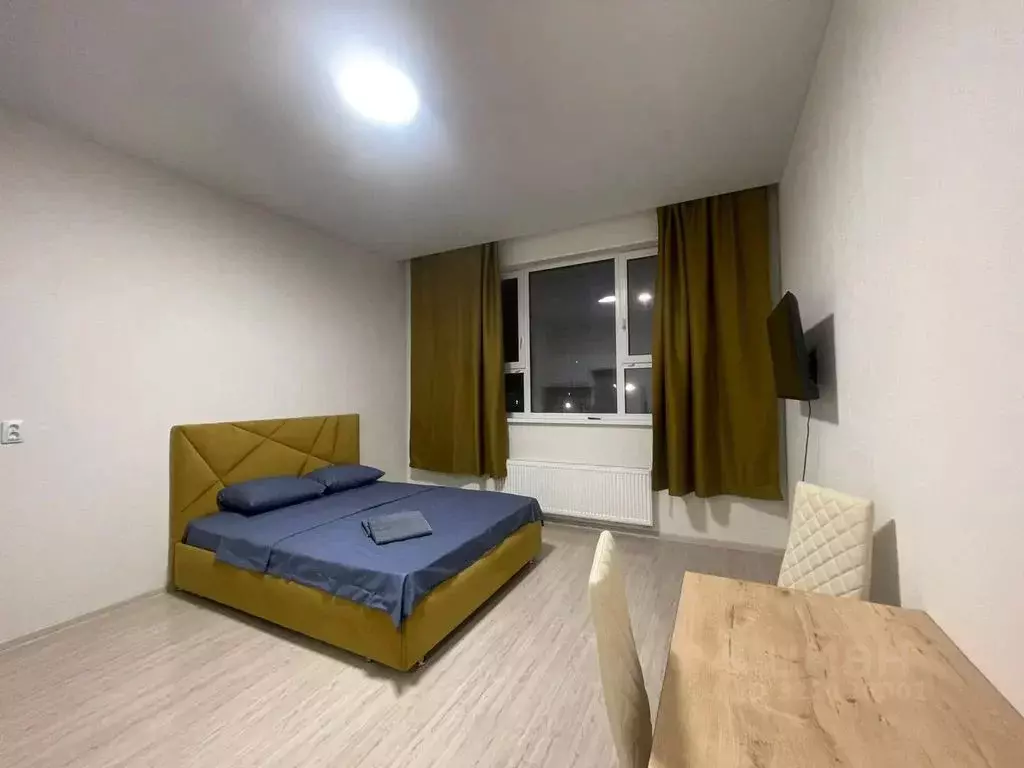 Студия Свердловская область, Екатеринбург ул. Фрунзе, 31/2 (30.0 м) - Фото 1