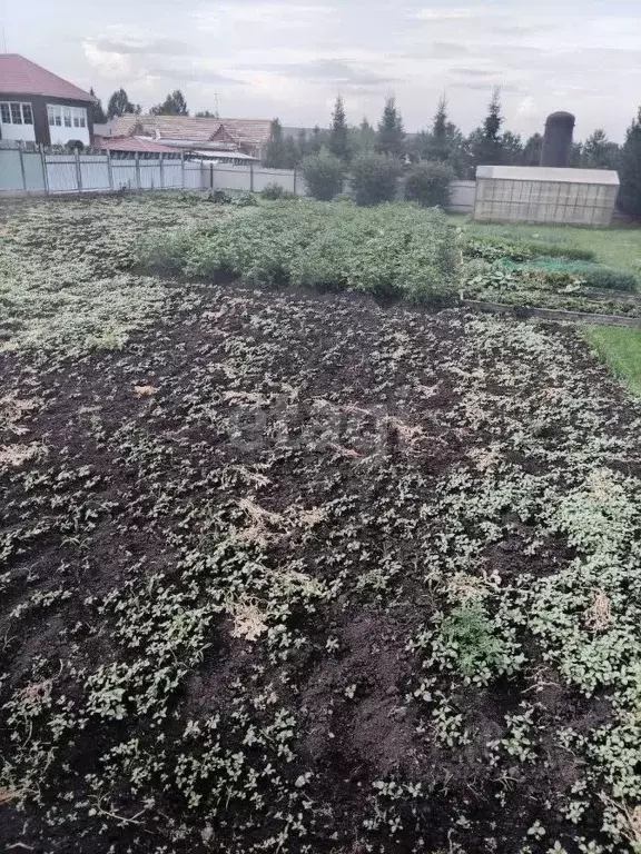 Участок в Кемеровская область, Кемеровский муниципальный округ, с. ... - Фото 1