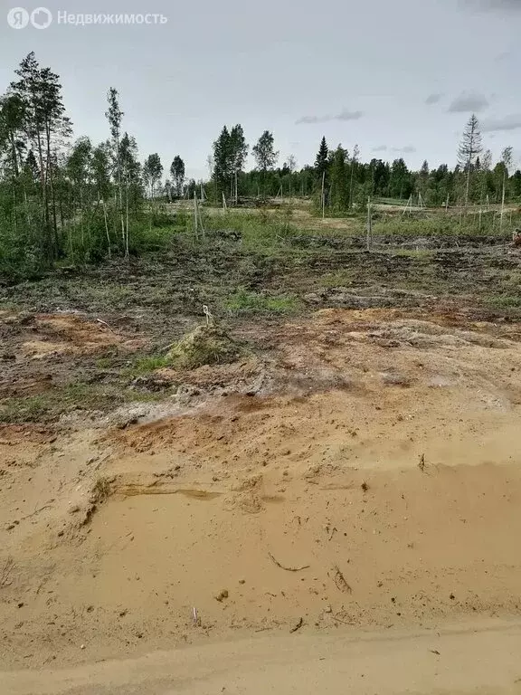 Участок в Агалатовское сельское поселение, СНТ У Лукоморья, 10 (12 м) - Фото 2