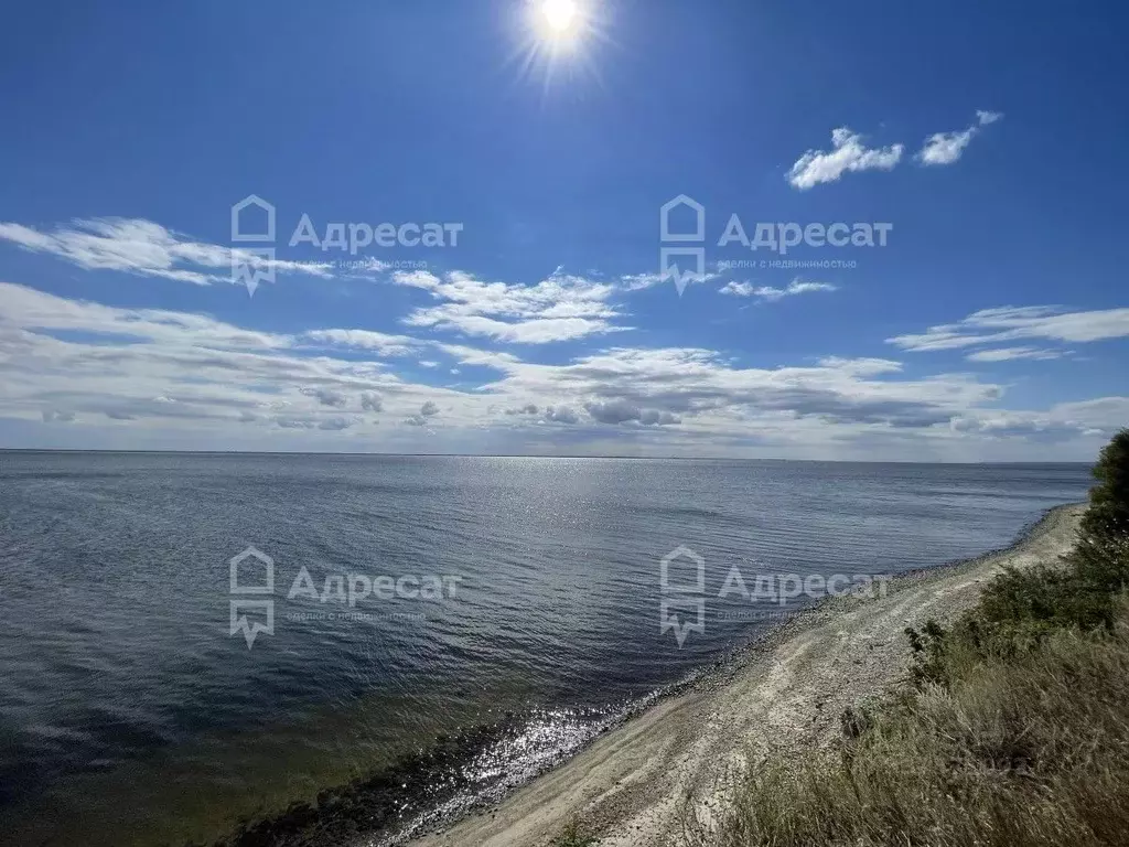 Участок в Волгоградская область, Дубовка Степная ул. (52.35 сот.) - Фото 1