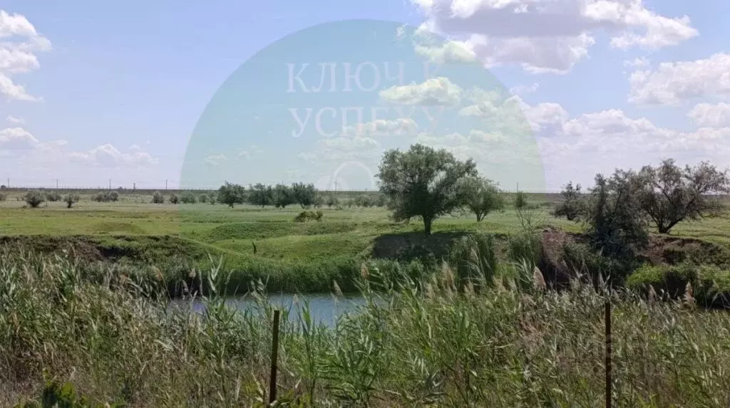 Дом в Волгоградская область, Городищенский район, Новорогачинское ... - Фото 2