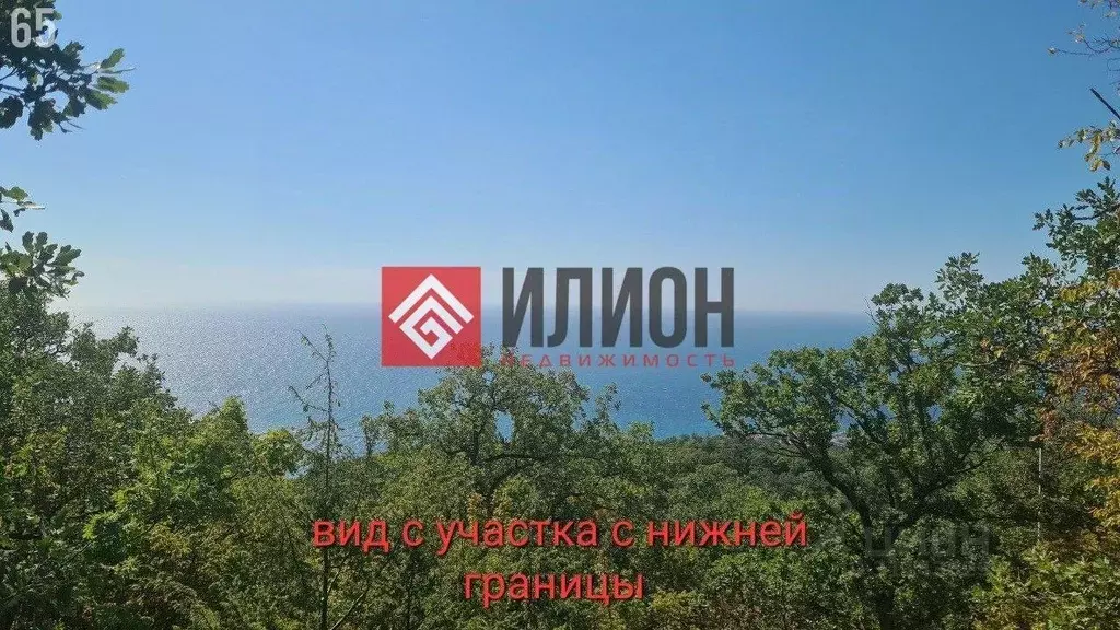 Участок в Крым, Ялта городской округ, Гаспра пгт  (7.5 сот.) - Фото 2