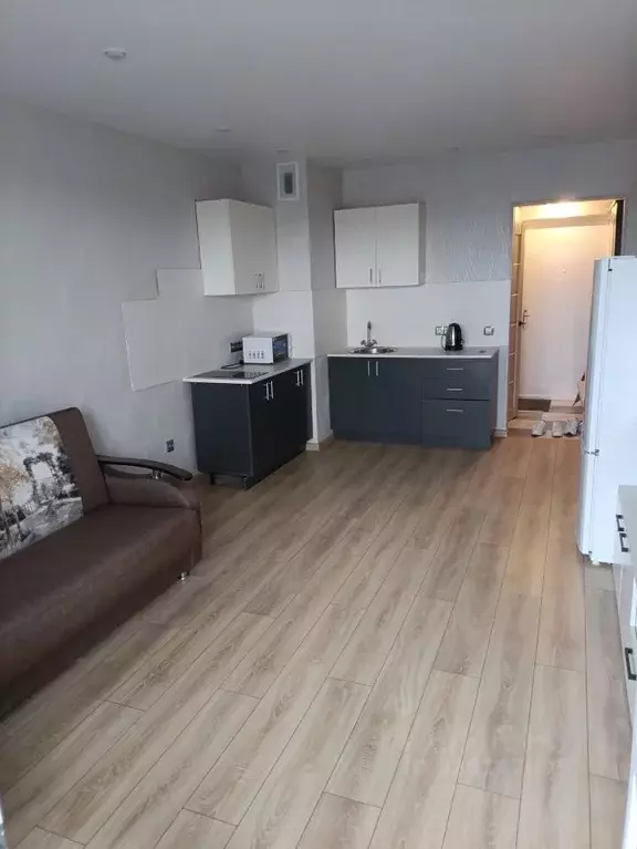 Студия Воронежская область, Воронеж Семилукская ул., 48 (24.0 м) - Фото 1