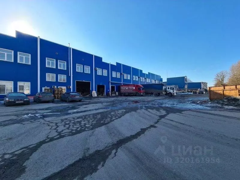 Офис в Санкт-Петербург ул. Салова, 56литО (90 м) - Фото 1