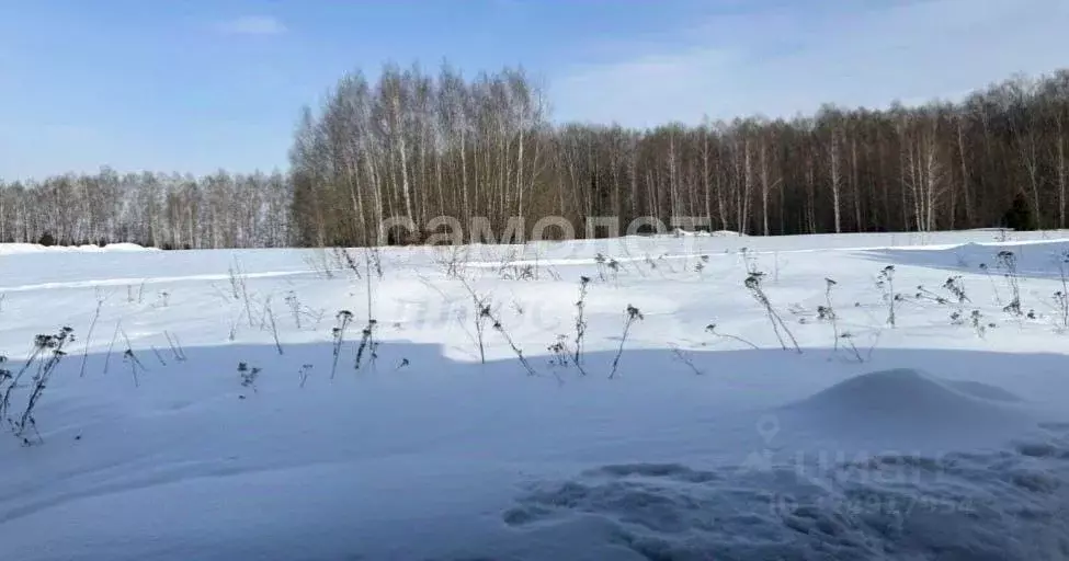 Участок в Калужская область, Боровский муниципальный округ, д. ... - Фото 2
