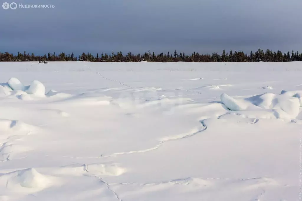 Участок в Тульская область, городской округ Тула, деревня Вечерняя ... - Фото 2