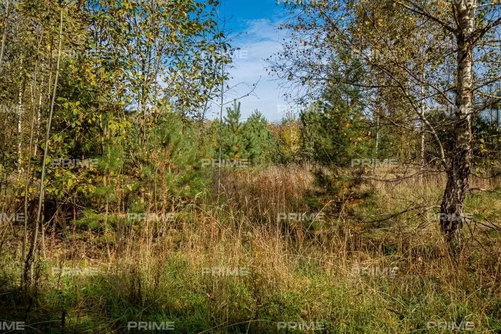 Участок в Московская область, Одинцовский городской округ, с. ... - Фото 0