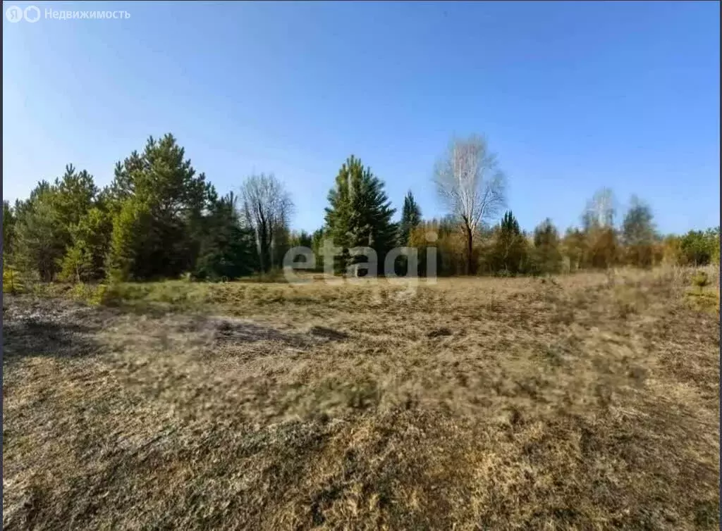 Участок в деревня Красный Яр, микрорайон Восточный (8.41 м) - Фото 2