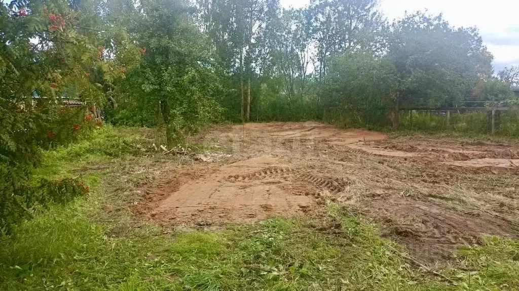 Участок в Владимирская область, Петушинский муниципальный округ, ... - Фото 1