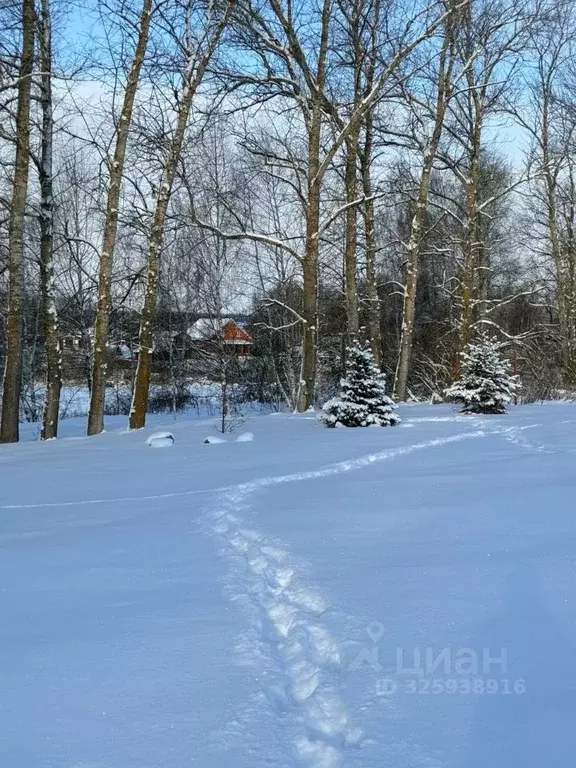 Участок в Московская область, Раменский муниципальный округ, с. ... - Фото 2