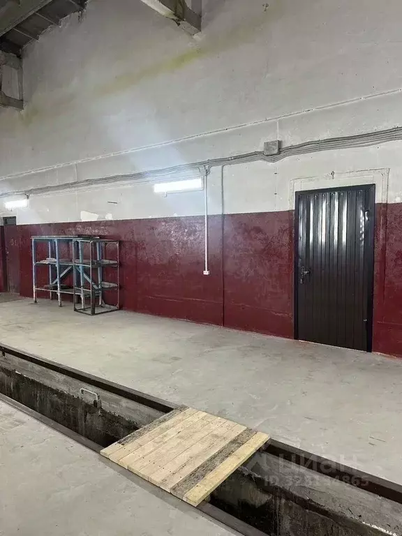 Помещение свободного назначения в Белгородская область, Белгород ... - Фото 2