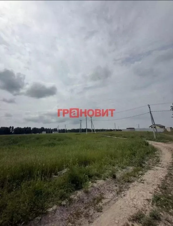 Участок в Новосибирская область, Новосибирский район, Морской ... - Фото 2